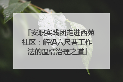 安职实践团走进西苑社区：解码六尺巷工作法的温情治理之道