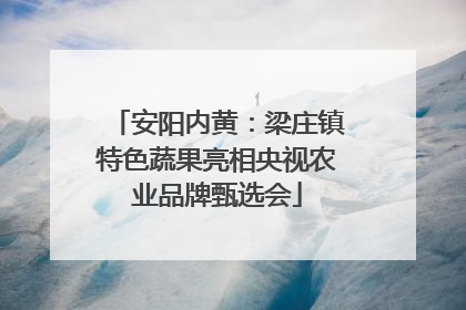 安阳内黄：梁庄镇特色蔬果亮相央视农业品牌甄选会