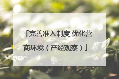完善准入制度 优化营商环境（产经观察）