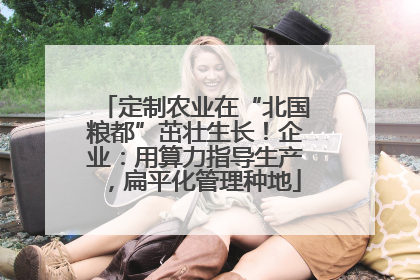 定制农业在“北国粮都”茁壮生长！企业：用算力指导生产，扁平化管理种地