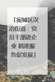 宛城区汉冶街道：党员干部进企业 精准服务促发展