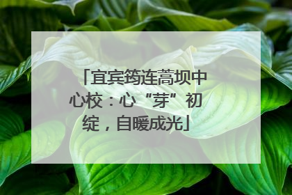 宜宾筠连蒿坝中心校：心“芽”初绽，自暖成光