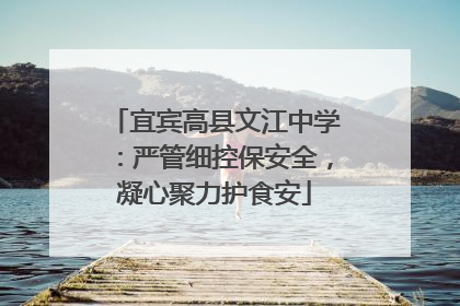 宜宾高县文江中学：严管细控保安全，凝心聚力护食安