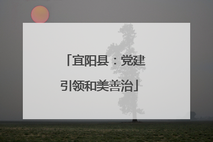 宜阳县：党建引领和美善治