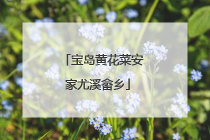 宝岛黄花菜安家尤溪畲乡