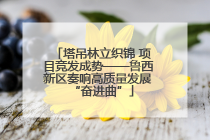 塔吊林立织锦 项目竞发成势——鲁西新区奏响高质量发展“奋进曲”