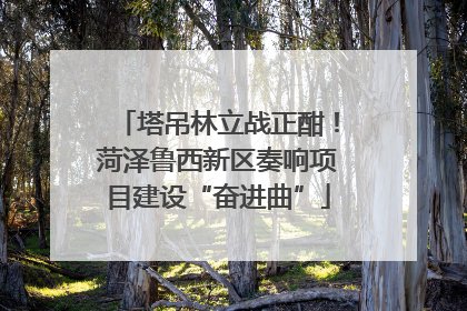塔吊林立战正酣！菏泽鲁西新区奏响项目建设“奋进曲”