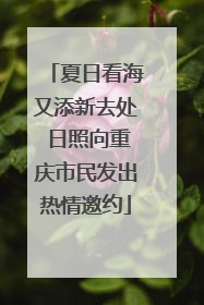 夏日看海又添新去处 日照向重庆市民发出热情邀约