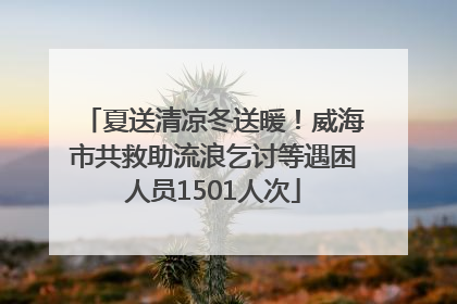 夏送清凉冬送暖！威海市共救助流浪乞讨等遇困人员1501人次