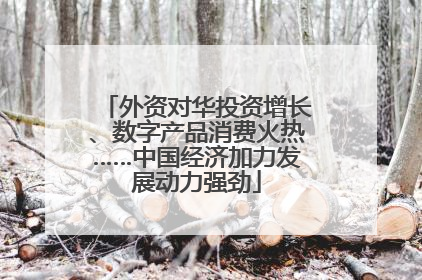外资对华投资增长、数字产品消费火热……中国经济加力发展动力强劲