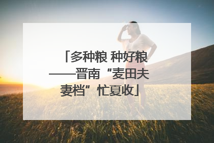 多种粮 种好粮——晋南“麦田夫妻档”忙夏收