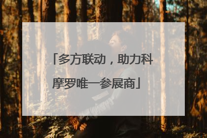多方联动，助力科摩罗唯一参展商