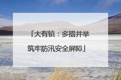 大有镇：多措并举筑牢防汛安全屏障