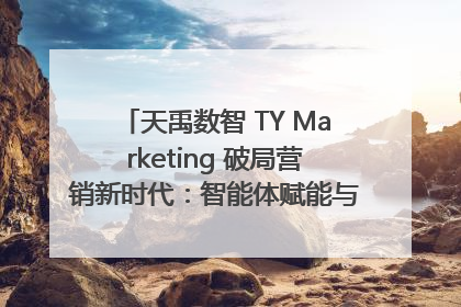 天禹数智 TY Marketing 破局营销新时代：智能体赋能与人才培育双轮驱动