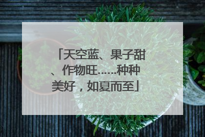 天空蓝、果子甜、作物旺……种种美好，如夏而至