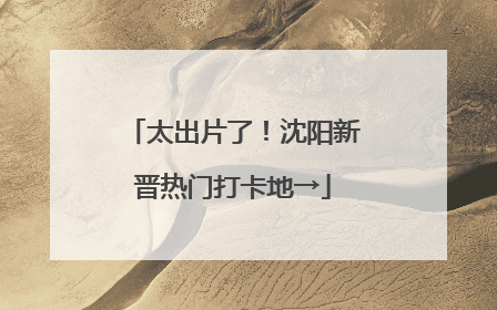 太出片了！沈阳新晋热门打卡地→