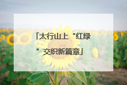 太行山上“红绿”交织新篇章