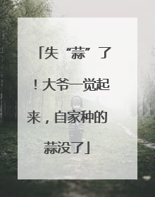 失“蒜”了！大爷一觉起来，自家种的蒜没了