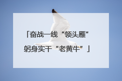 奋战一线“领头雁” 躬身实干“老黄牛”