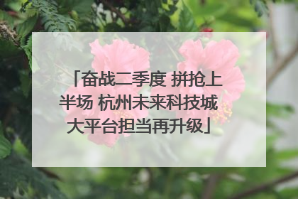 奋战二季度 拼抢上半场 杭州未来科技城大平台担当再升级