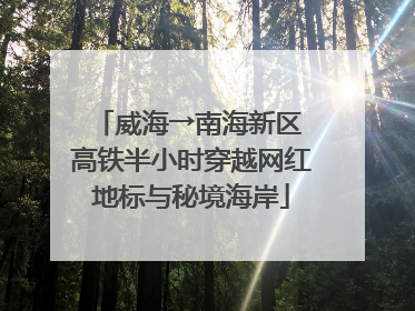 威海→南海新区 高铁半小时穿越网红地标与秘境海岸