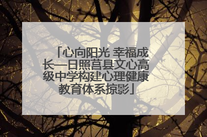 心向阳光 幸福成长—日照莒县文心高级中学构建心理健康教育体系掠影