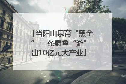 当阳山泉育“黑金” 一条鲟鱼“游”出10亿元大产业