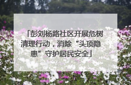 彭刘杨路社区开展危树清理行动，消除“头顶隐患”守护居民安全