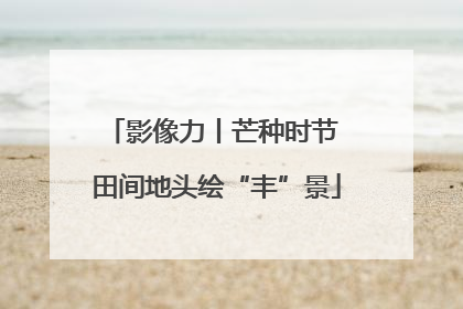影像力丨芒种时节 田间地头绘“丰”景