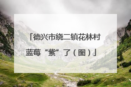德兴市绕二镇花林村蓝莓“紫”了（图）