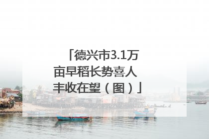 德兴市3.1万亩早稻长势喜人 丰收在望（图）