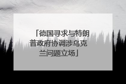 德国寻求与特朗普政府协调涉乌克兰问题立场
