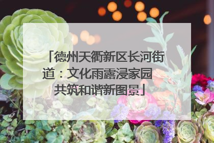 德州天衢新区长河街道：文化雨露浸家园 共筑和谐新图景