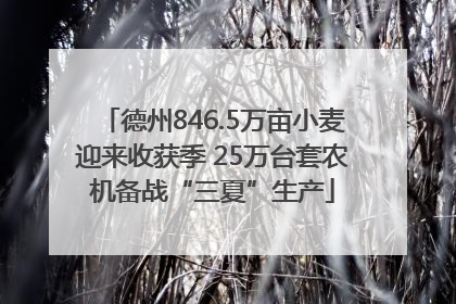 德州846.5万亩小麦迎来收获季 25万台套农机备战“三夏”生产