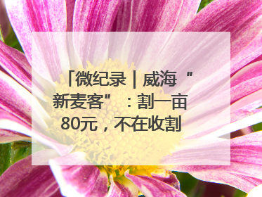 微纪录｜威海“新麦客”：割一亩80元，不在收割就是在收割路上