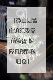 微山县留庄镇纪委靠前监督 保障夏粮颗粒归仓