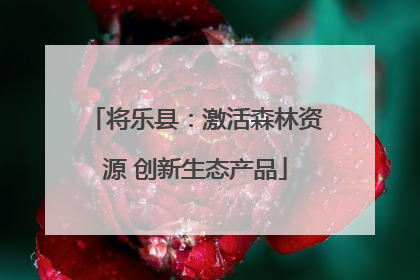 将乐县：激活森林资源 创新生态产品