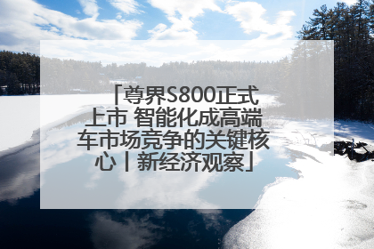 尊界S800正式上市 智能化成高端车市场竞争的关键核心丨新经济观察
