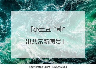 小土豆“种”出共富新图景