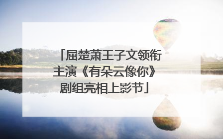 屈楚萧王子文领衔主演《有朵云像你》剧组亮相上影节