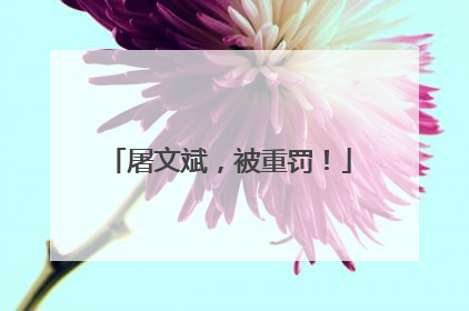 屠文斌，被重罚！