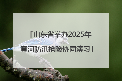 山东省举办2025年黄河防汛抢险协同演习