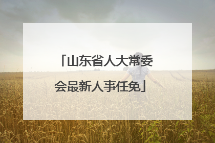 山东省人大常委会最新人事任免