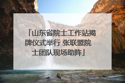 山东省院士工作站揭牌仪式举行 张联盟院士团队现场助阵