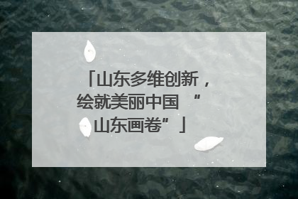 山东多维创新，绘就美丽中国 “山东画卷”
