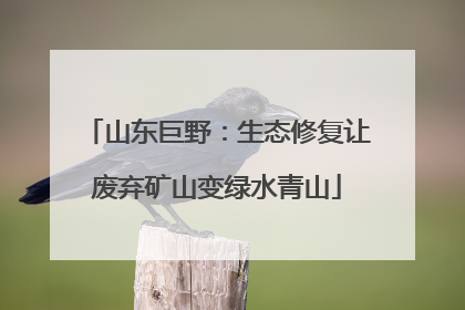 山东巨野：生态修复让废弃矿山变绿水青山