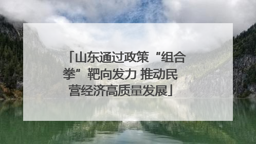 山东通过政策“组合拳”靶向发力 推动民营经济高质量发展