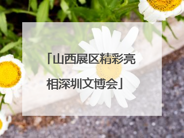 山西展区精彩亮相深圳文博会