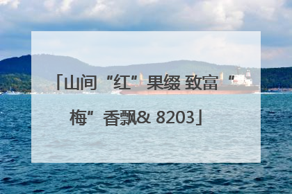 山间“红”果缀 致富“梅”香飘& 8203