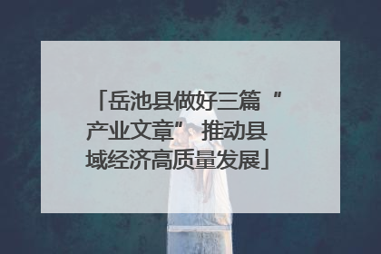 岳池县做好三篇“产业文章” 推动县域经济高质量发展